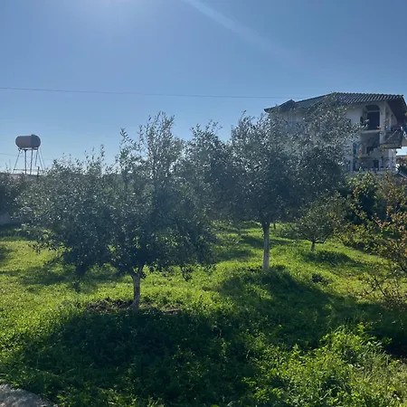 Holiday home Olive Durres