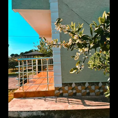 Olive Holiday home