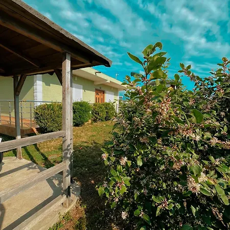 Holiday home Olive *