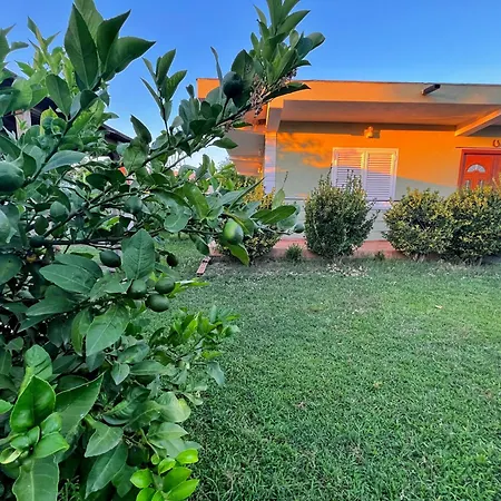 Olive Garden House