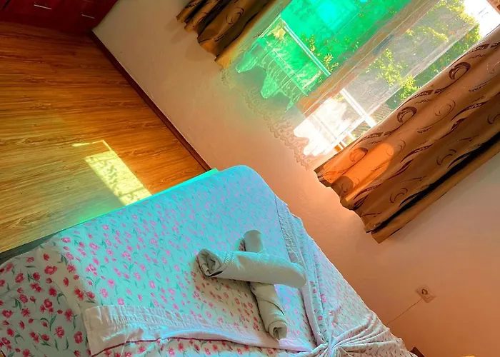 Olive Hébergement de vacances *